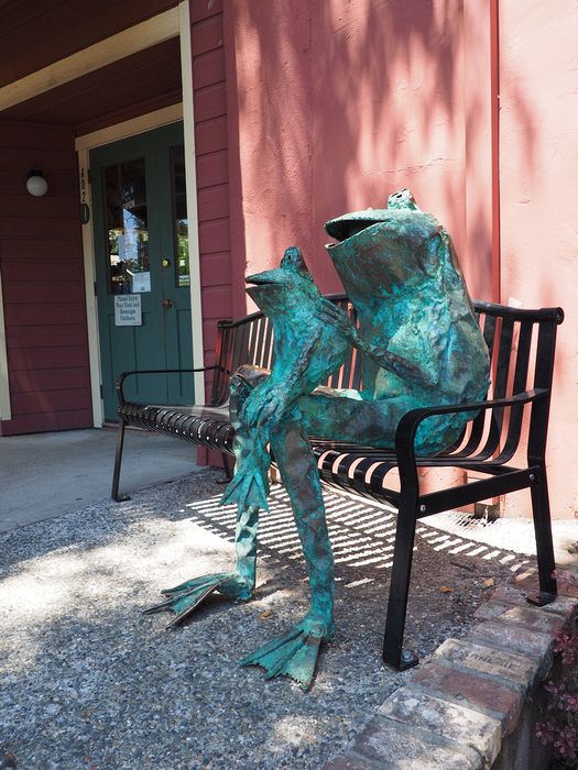 Frogs on a bench