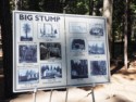 History of the Big Stump