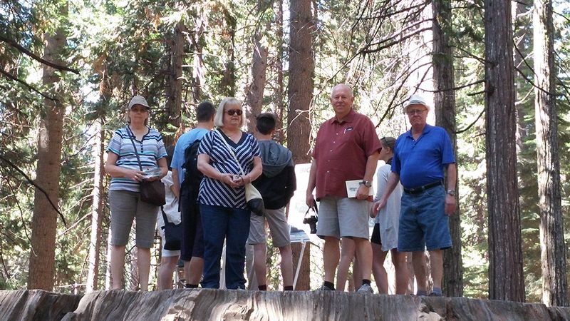 June, Linda, Pete, and Livingston on the big stump of a 1,244 year old tree cut down in 1853