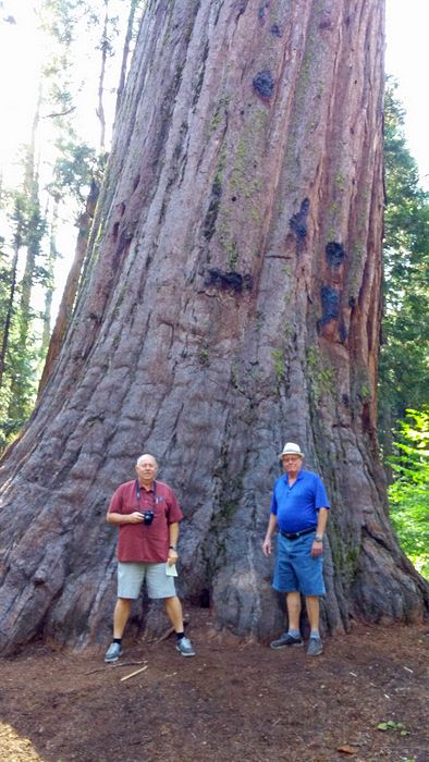 Pete and Livingston next a tree that shows fire marks