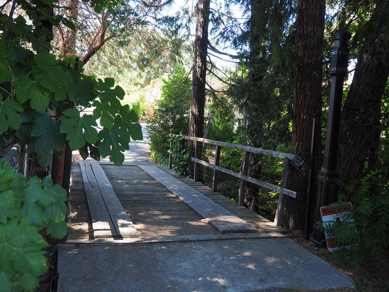 Wood bridge